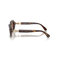 Swarovski SK6028 100273-54 Dark Havana / Dark Brown Lenses