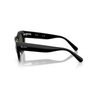 Ray-Ban RB2286 901/31-52 Doreen Black / G-15 Green Lenses