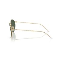 Ray-Ban RBR0103S 001/VR-53 Round Reverse Arista / Dark Green Lenses