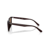 Ray-Ban RB4439D 623173-54 Opal Brown / Dark Brown Lenses