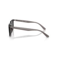 Ray-Ban RB4439D 667587-54 Transparent Grey / Dark Grey Lenses