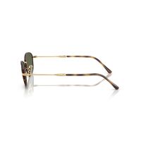 Ray-Ban RB3749 927358-55 Havana On Gold / G-15 Green Polarised Lenses