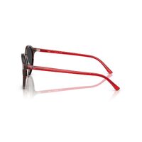 Ray-Ban RB2230 141948-53 Bernard Transparent Shade Fantasy Red / Black Polarised Lenses