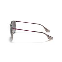 Ray-Ban RB4171F 65138G-54 Erika Transparent Grey / Light Grey Gradient Lenses