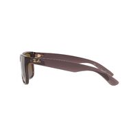 Ray-Ban RB4165 6597T5-55 Justin Transparent Dark Brown / Brown Gradient Polarised Lenses