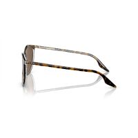 Ray-Ban RB2204 139357-54 Havana On Transparent / Brown Polarised Lenses