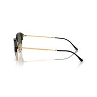 Ray-Ban RB4429 601/31-53 Black On Gold / Green Lenses