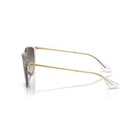 Ray-Ban RB4171 674211-54 Erika Transparent Pink / Grey Gradient Lenses