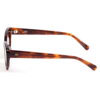 Sito Siena SISIE002S Burnt Orange Tortoise / Coffee Lenses