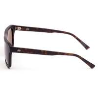 Sito GT SIGT001P Matte Chestnut Tortoise / Brown Polarised Lenses