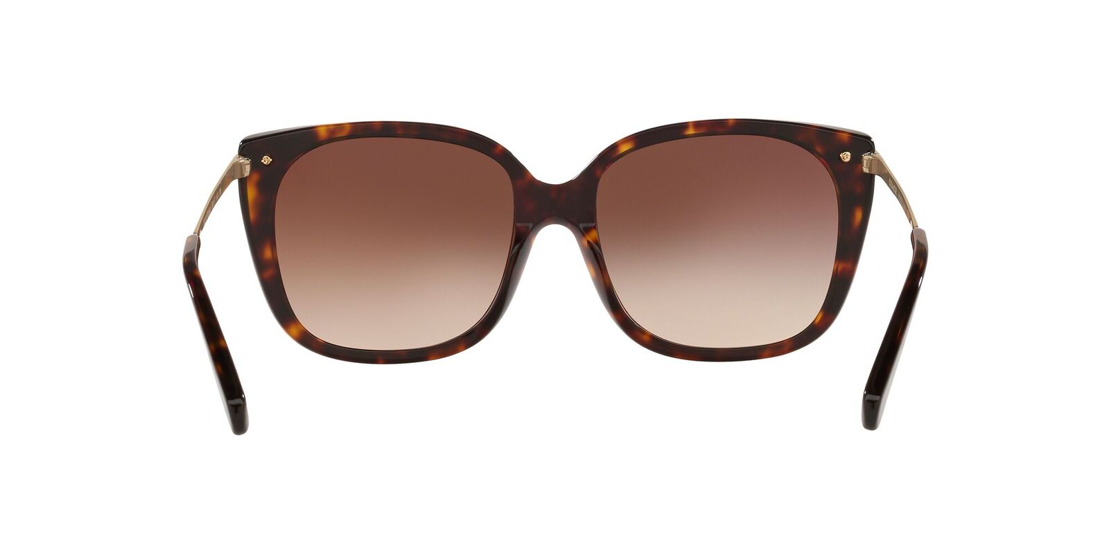 coach women's hc8272 sunglasses