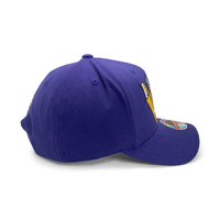 Mitchell & Ness Los Angeles Lakers MVP Buzzer Beater Purple OSFM