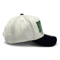 Mitchell & Ness Boston Celtics MVP Post Up Vintage White OSFM