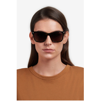 Carrera 3001/S 086 HA 54 Havana / Brown Gradient Lenses