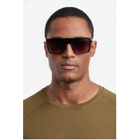 Carrera 4019/S 086 HA 58 Havana / Brown Gradient Lenses