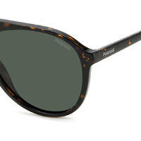 Polaroid PLD 4162/S 086 UC 56 Havana / Green Polarised Lenses