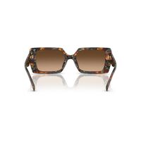 Coach CW224 HC8409U 584474-53 Jade Pearl Tortoise / Brown Gradient Lenses