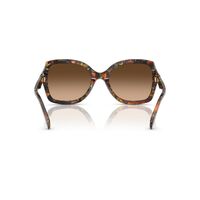 Coach CW225 HC8410U 584474-56 Jade Pearl Tortoise / Brown Gradient Lenses