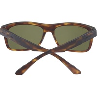 Serengeti Positano 8984 Matte Tortoise / 555nm Polarised Photochromic Lenses