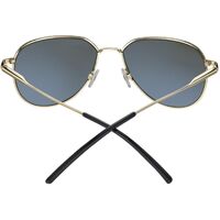 Serengeti Haywood SS543003 Gold / 555nm Polarised Photochromic Lenses