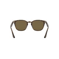 Ray-Ban RB4258 710/73-50 Light Havana / Dark Brown Lenses