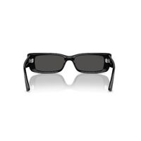 Ray-Ban RB4425 667787-54 Teru Black / Dark Grey Lenses