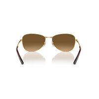 Ray-Ban RB3733 001/M2-56 Gold / Brown Gradient Polarised Lenses