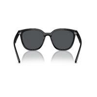 Ray-Ban RB4423D 601/87-66 Black / Dark Grey Lenses