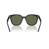 Ray-Ban RB4423D 601/9A-66 Black / Dark Green Polarised Lenses