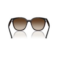 Ray-Ban RB4423D 714/13-66 Transparent Brown / Brown Gradient Lenses