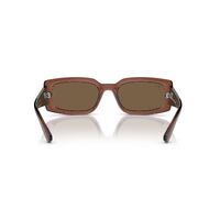 Ray-Ban RB4395 667873-54 Kiliane Transparent Brown / Dark Brown Lenses