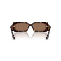 Dolce & Gabbana DG4416 193573-53 Havana / Dark Brown Lenses