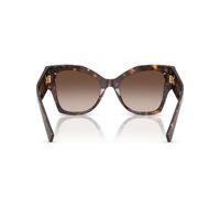 Dolce & Gabbana DG4478 502/13-53 Havana / Brown Gradient Lenses