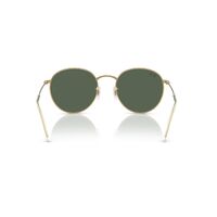 Ray-Ban RBR0103S 001/VR-53 Round Reverse Arista / Dark Green Lenses