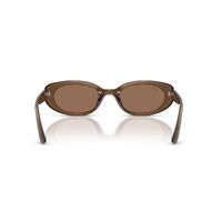 Ray-Ban RB4441D 677973-53 Opal Brown / Dark Brown Lenses