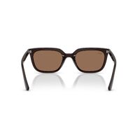 Ray-Ban RB4439D 623173-54 Opal Brown / Dark Brown Lenses