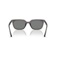 Ray-Ban RB4439D 667587-54 Transparent Grey / Dark Grey Lenses