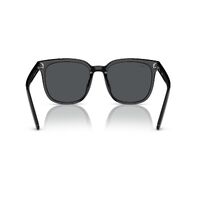 Ray-Ban RB4401D 601/87-55 Black / Dark Grey Lenses