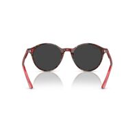 Ray-Ban RB2230 141948-53 Bernard Transparent Shade Fantasy Red / Black Polarised Lenses