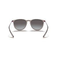 Ray-Ban RB4171F 65138G-54 Erika Transparent Grey / Light Grey Gradient Lenses