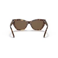 Emporio Armani EA4176 502573-54 Shiny Brown Havana / Brown Lenses