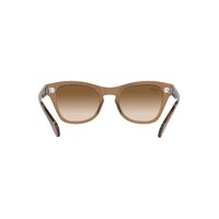 Ray-Ban RB0707S 664051-53 Transparent Light Brown / Brown Gradient Lenses