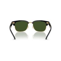 Polo Ralph Lauren PH4202 500171-55 Shiny Black / Dark Green Lenses