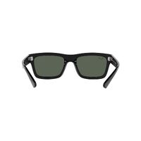 Ray-Ban RB4396 667771-54 Warren Black / Dark Green Lenses