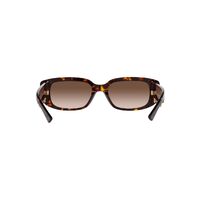 Bvlgari BV8259F 504/13-53 Havana / Brown Gradient Lenses