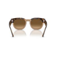 Ray-Ban RB0298S 1292M2-53 Mega Hawkeye Havana On Transparent Brown / Brown Polarised Lenses