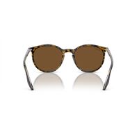 Ray-Ban RB2204 139357-54 Havana On Transparent / Brown Polarised Lenses