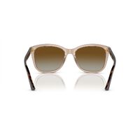 Emporio Armani EA4060 5850T5-56 Transparent Tundra / Brown Gradient Polarised Lenses