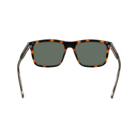 Lacoste L6025S 214-56 Havana / Solid Green Lenses