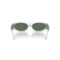 Arnette Catfish AN4302 28676R-65 Metallic Silver / Dark Green Petrol Mirror Lenses